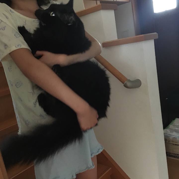 82f289f6 0f6f 4bbf a7f9 3946316552f2 1533855904754