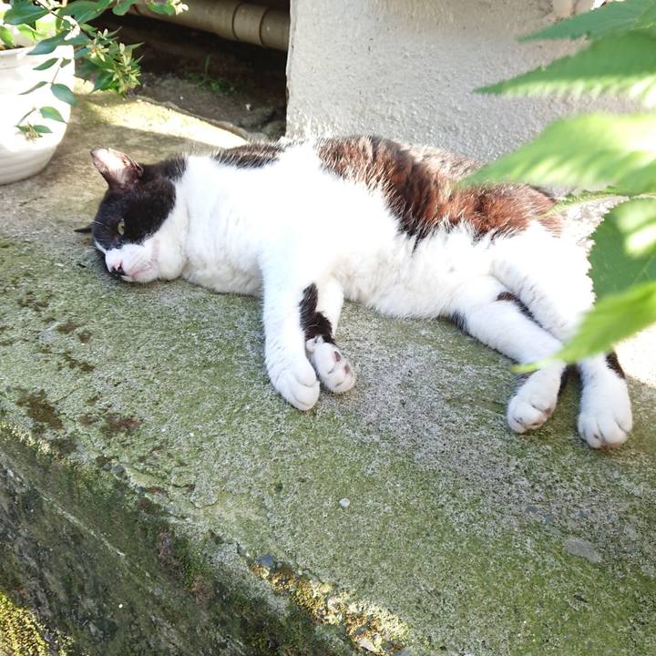 82f296ff 40d1 4838 bae6 15bfae3f4ff8 1658911596327