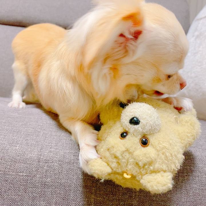 82f299de 3214 4e52 b973 eb78326ac143 1635160434907