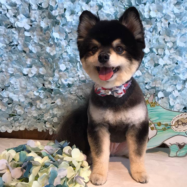 82f29e90 1f16 45f4 80e4 c59b97a74bb8 1596352354676