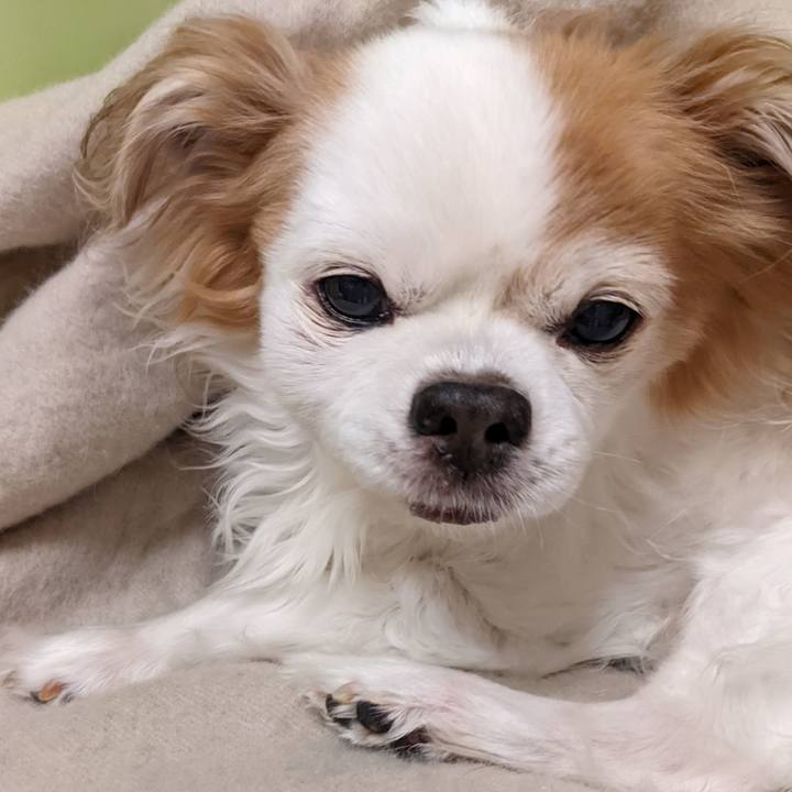 82f2f0dc 735d 4e3e baf6 c6415531a50c 1646125496579