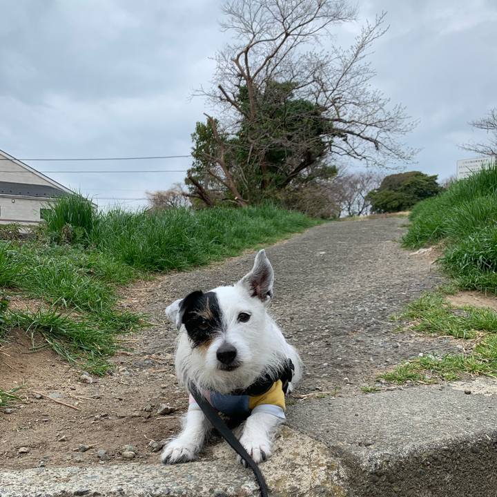 82f3244a d494 477b 9a57 aad43918aa0b 1742774744044