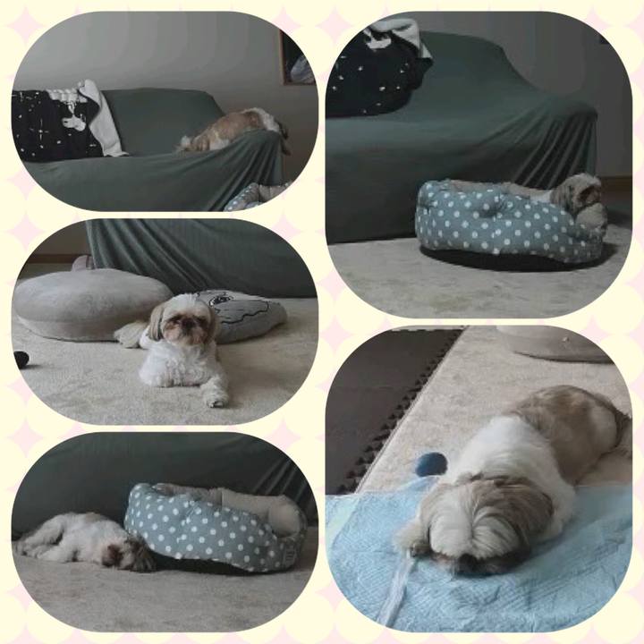 82f32e6a 379e 41cb 9e1f 10073864a3f5 1654693727734