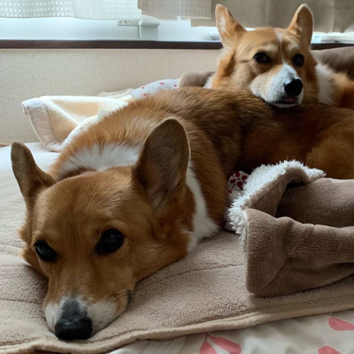 82f35c96 765c 4de7 8770 978186fee410 1612748515546