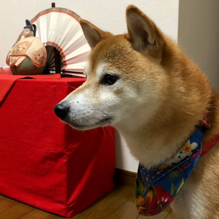 82f3833a c493 4869 b630 171113df37b2 1537617365964