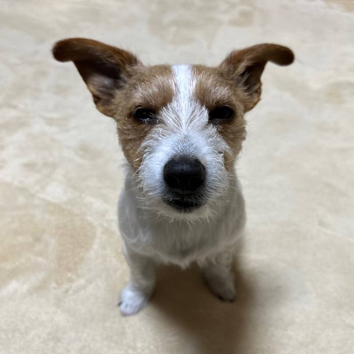 82f3b14e 1bdb 4145 a547 bfef85030524 1772493221250