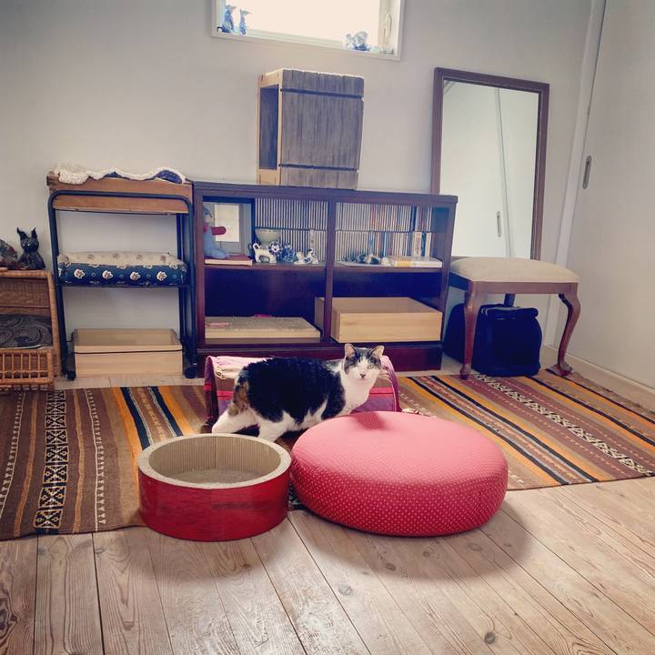 82f3ca55 ab25 4597 96b9 3dbcdf8e7e7b 1583729474304