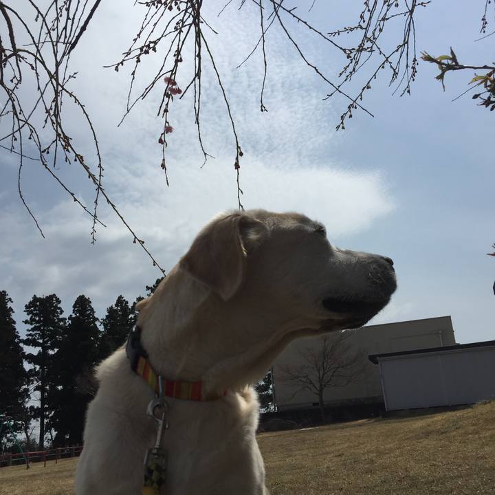 82f3f242 0702 455e a7d7 85962553c624 1522815447800