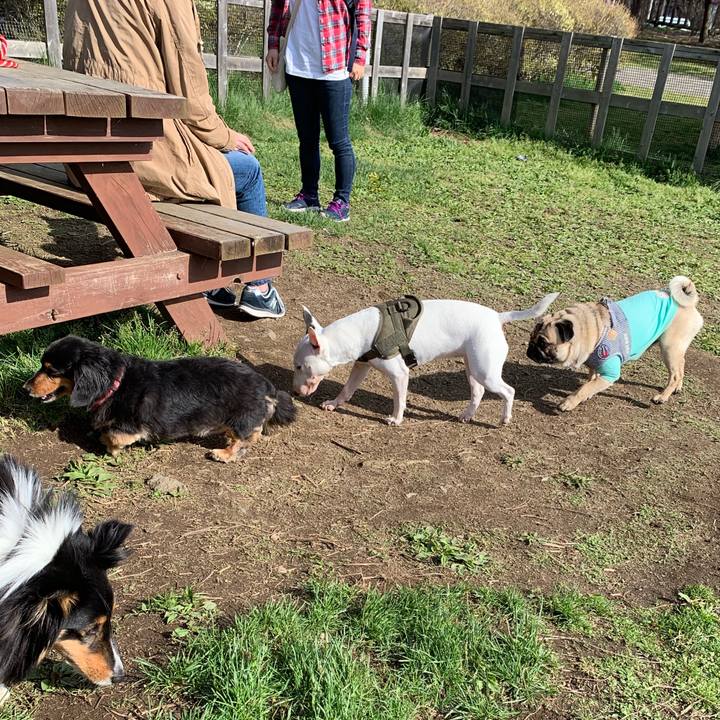 82f3f4d3 685e 4561 bf9b 98cb2f1afa96 1556837934202