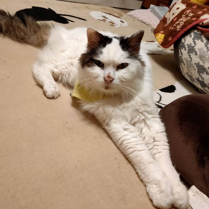 82f3ff5f 4a72 4dcc 8cb7 432b662edcd5 1583165478385