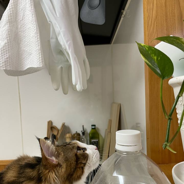 82f402f7 c56e 4272 b8ef b2456ae86b6e 1645098279929