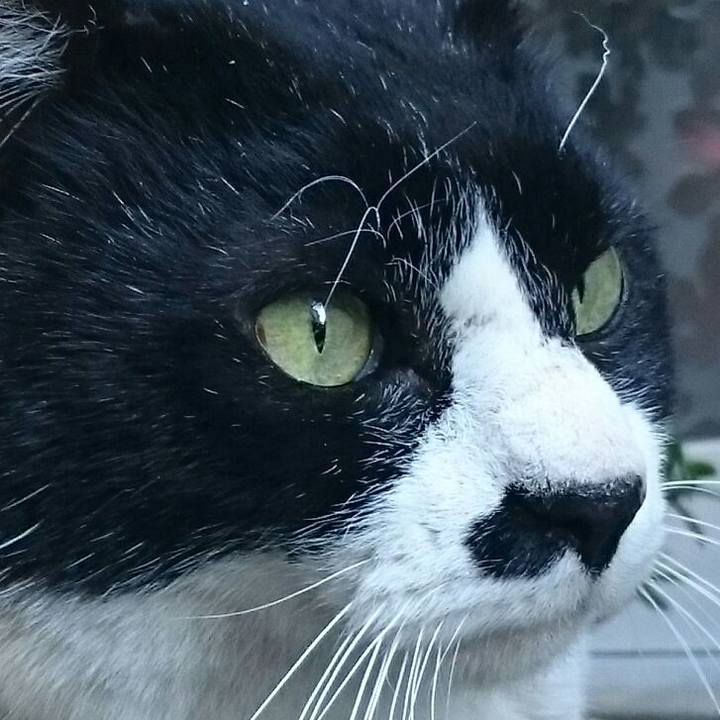 82f4095f 98cf 477a b569 85bf940936f5 1517034735319