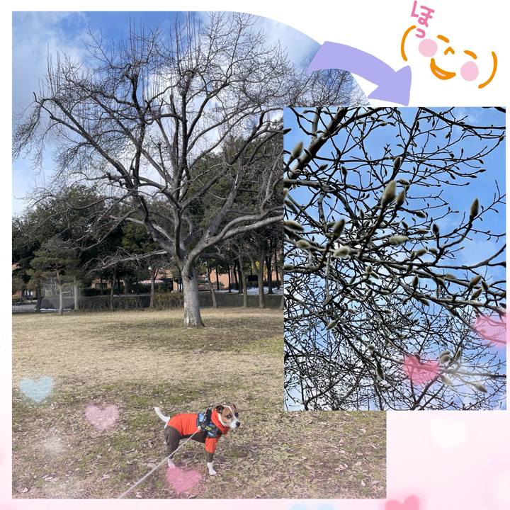 82f419fb 2718 48b1 a1b0 57755695cb3e 1739954474065