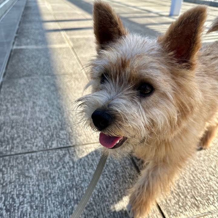 82f426b5 5117 489e 8e62 0d802f8f4b88 1714801641392