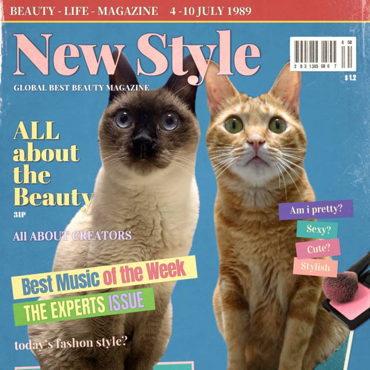 82f46084 a728 4af8 986b e2278bc94619 1576796107237