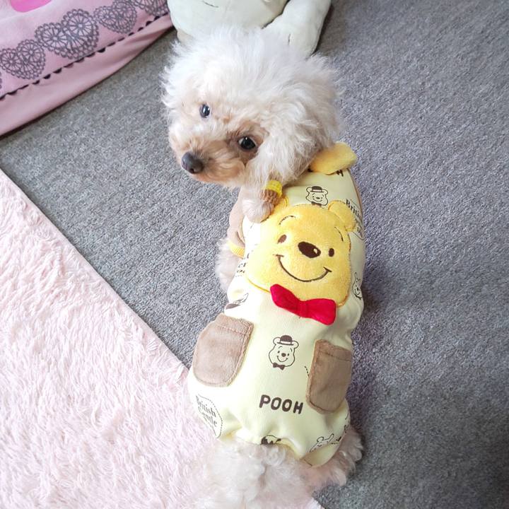 82f482c2 0cb3 4d86 9263 4fc6aec42d01 1576022587753