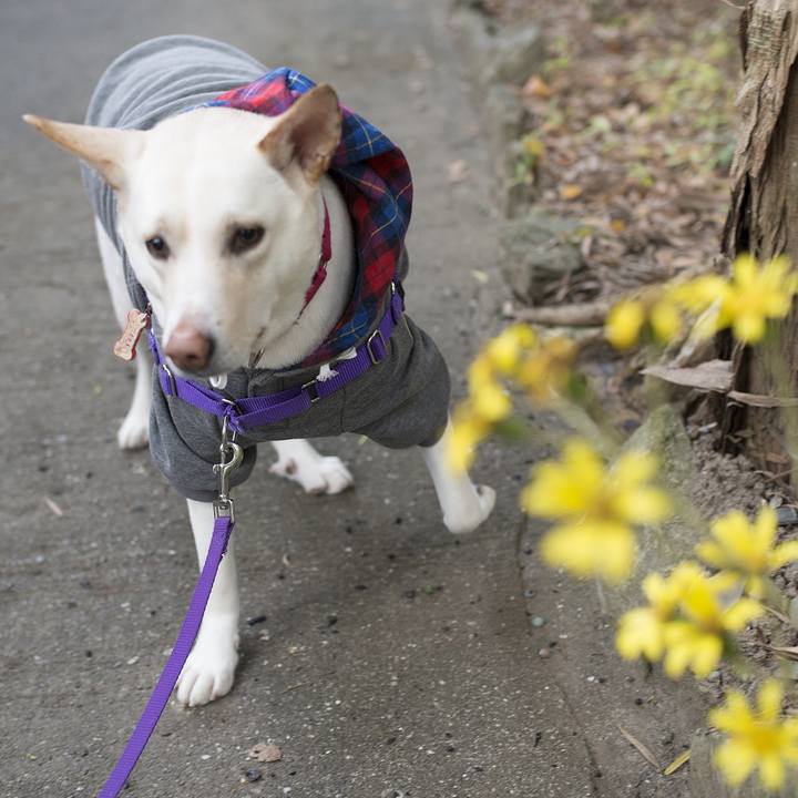 82f49624 d692 4b94 ba96 1ec1edf6bd65 1546871637060