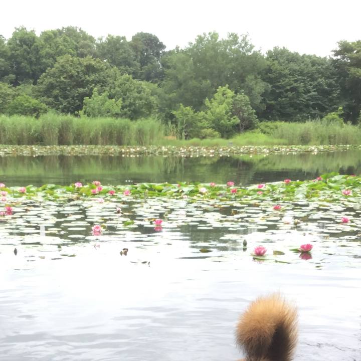 82f4e30e 37fa 41e3 af57 2e17dad7da37 1562331041347