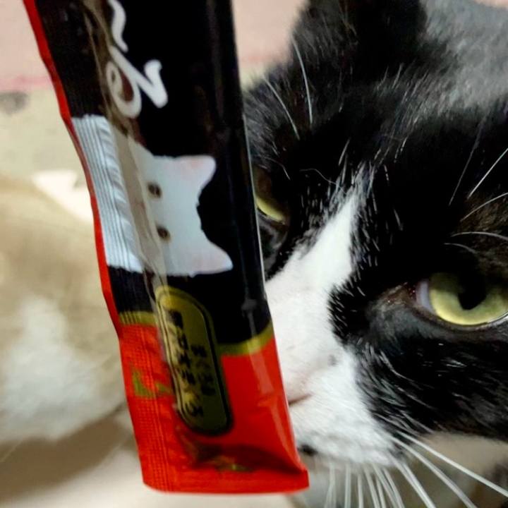 82f4f2ca 335f 4406 9de0 49d27cf63d5c 1734514093760