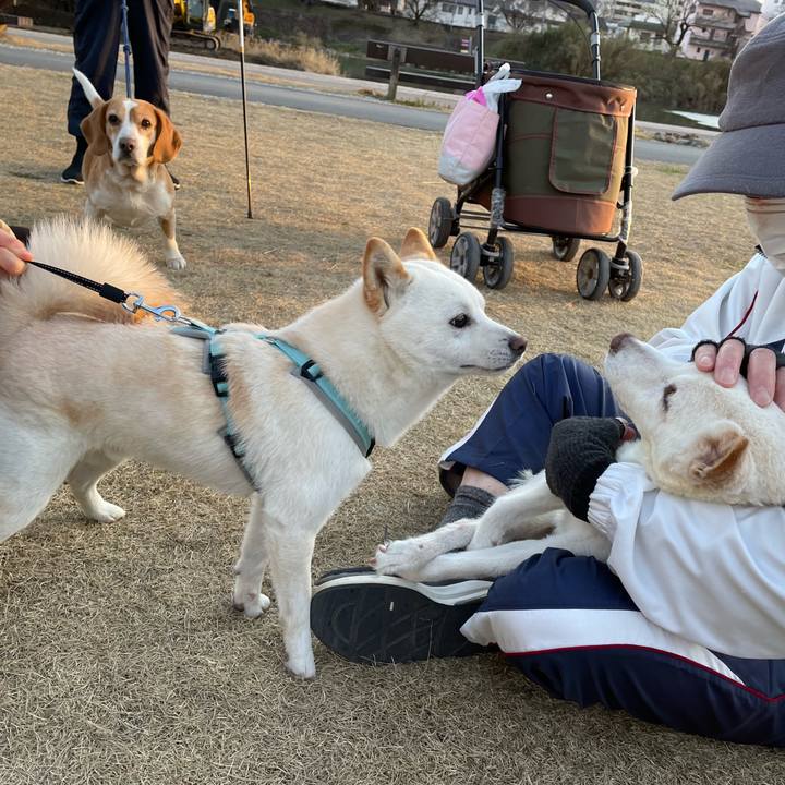 82f4fd57 d1a1 4f68 b899 3f188db92773 1676974836085