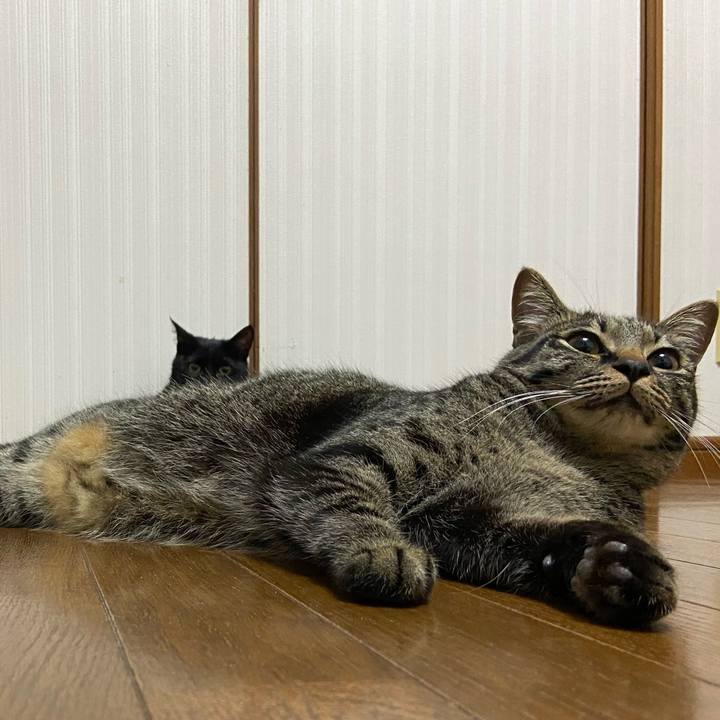 82f52491 ad2b 4d70 98e9 ac961f4985e0 1652011380448