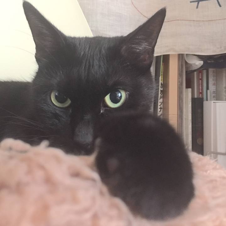 82f53bc0 4e01 4d08 ad51 22c0224dfb9f 1510374318698