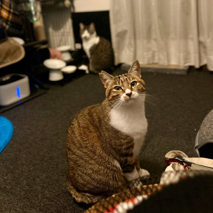 82f55a65 92c7 4937 b9ee 0f09c8afa6fa 1765799657456