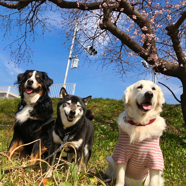 82f56b3f 3166 458a 98b9 ef9d3683413a 1520820275913