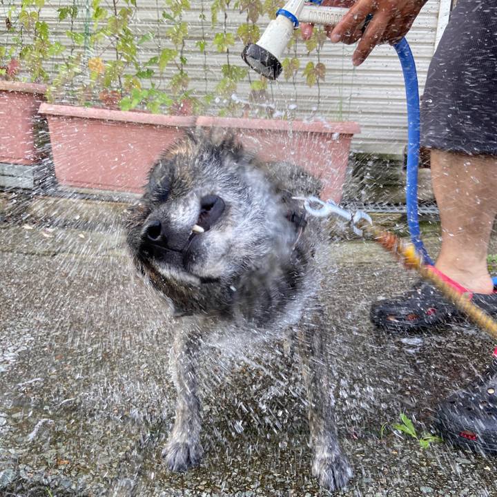 82f56ca6 e49e 453d 9192 66b4fd538319 1597012940128