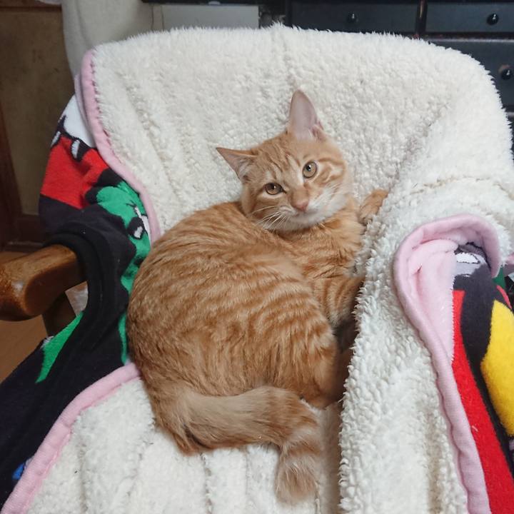 82f573ab c158 4dd6 b416 8176a1c063c4 1636669405483