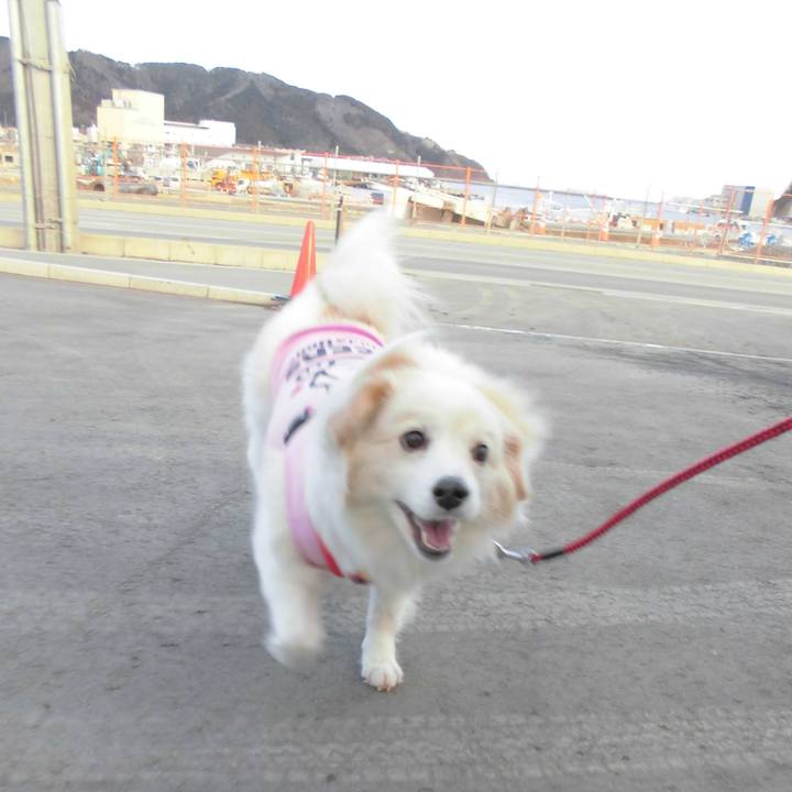 82f5760d f8b4 4f36 a68a 6fa7f1683e0a 1517985310562