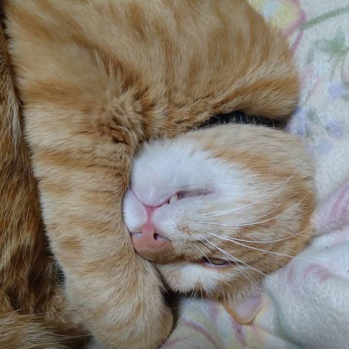 82f57e4b 0e36 486e bc2d 6298289cc318 1678368079106