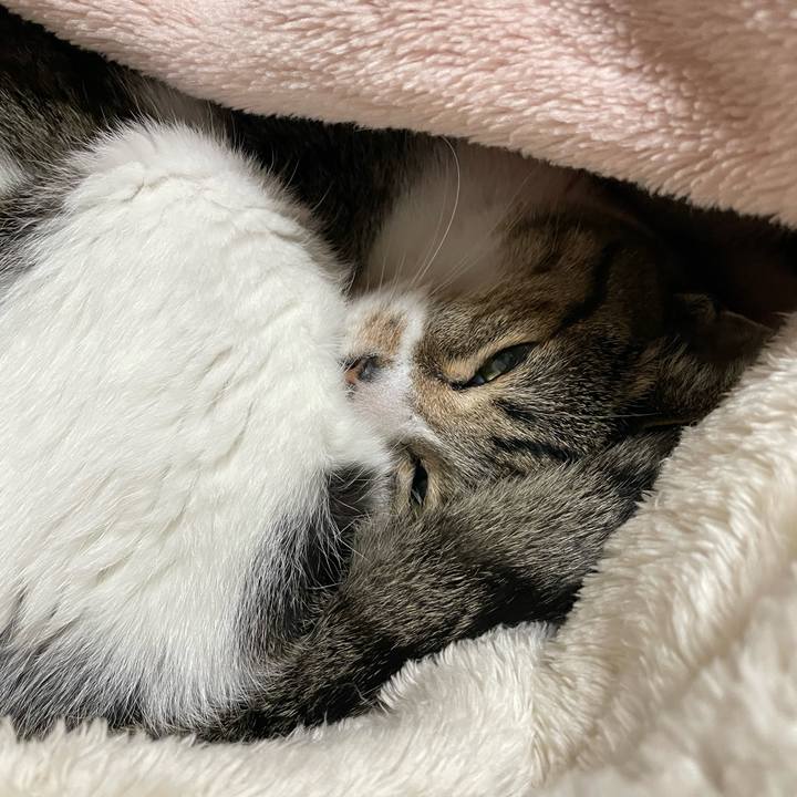 82f59a1b bc2e 4830 ad48 0703068eccd2 1639186289696