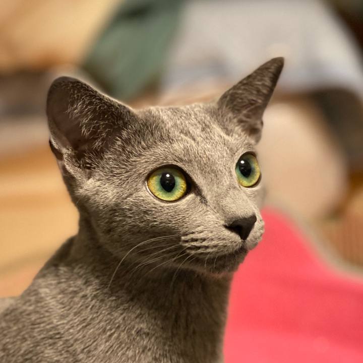 82f5aced 80ca 426e 9614 02e767c56662 1603717351497