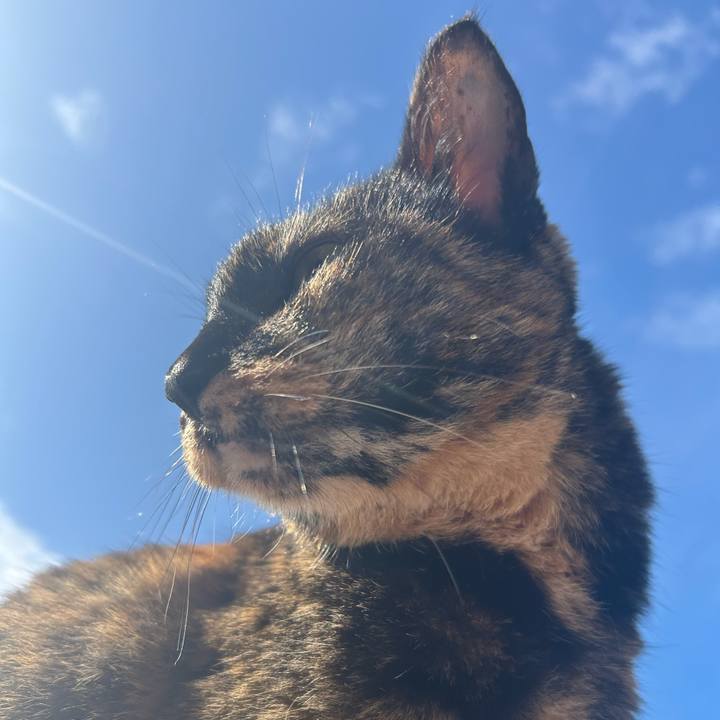 82f5ad57 a01d 426a 9301 b3025925b49c 1760746862608