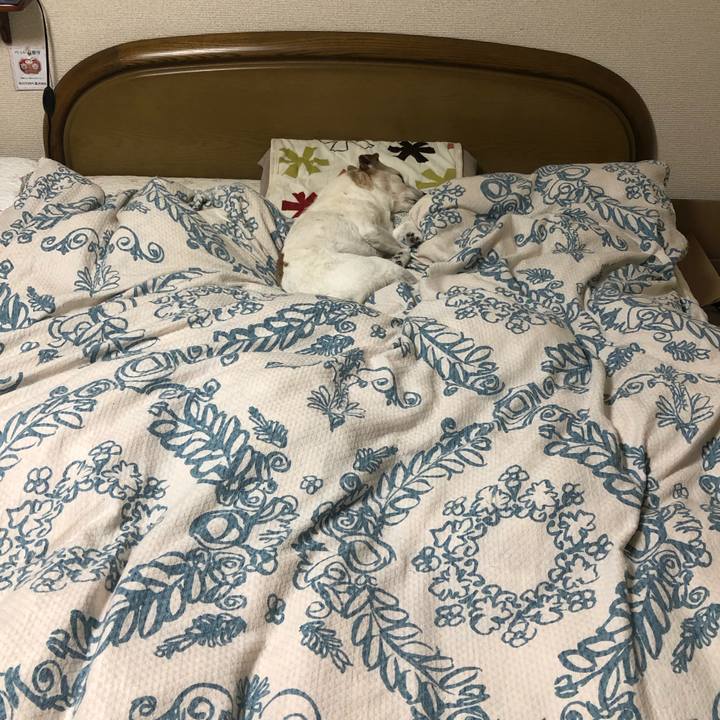 82f5b38f e134 41b8 b69b 7dccf71d8c8e 1585923598024