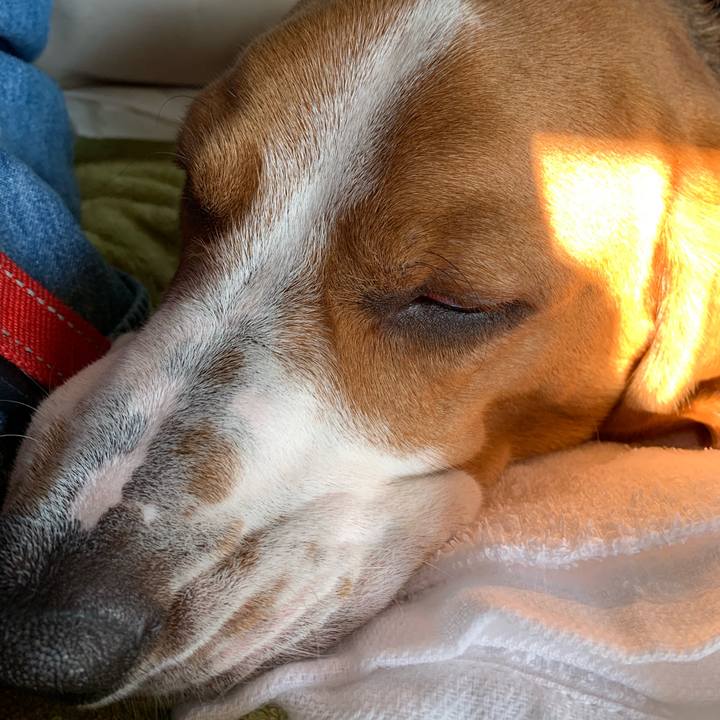 82f5b3d4 aaea 4d64 83b0 9aee61ccd07c 1546573299206