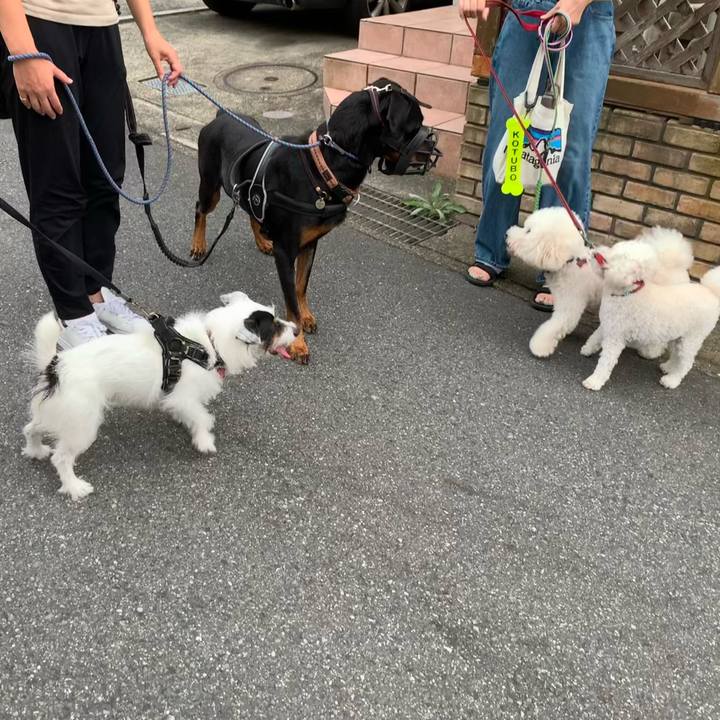 82f5d199 9f8c 4cb3 ae67 c0f33147a637 1692091162821