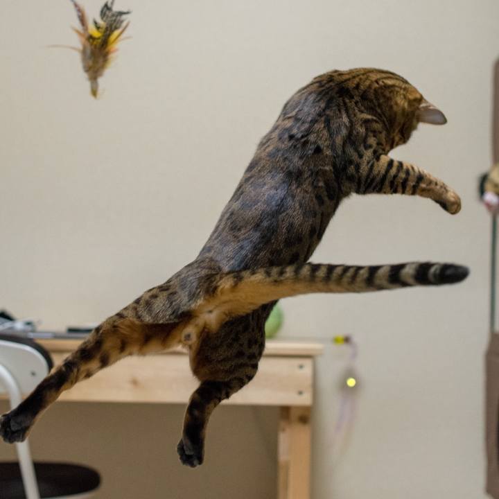 82f60f46 3cd3 4b69 9902 e055a56ff548 1518963145826