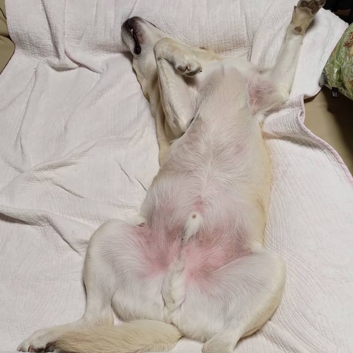 82f616b2 96d0 462d b7d0 3c7281dbf65f 1693125826699