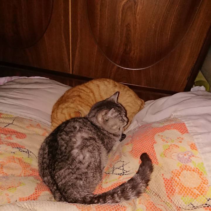 82f640ce 2aeb 4ebc a90b e11f96573428 1584286115851