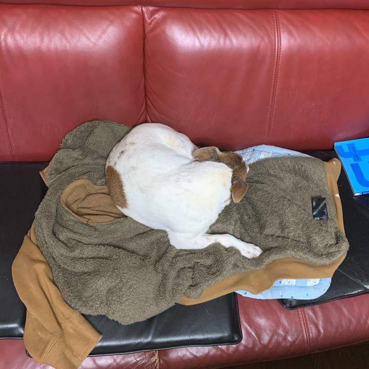 82f65bd1 f8cf 4881 be56 7ed05ea5bb9f 1610372246121