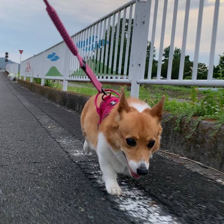 82f66f76 e568 417c 93a5 129b45116f33 1688901995039