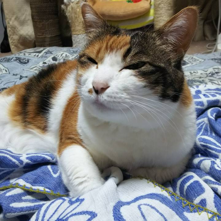 82f678d7 42ef 4ade 8e93 5ca5a69f57ab 1528985708331