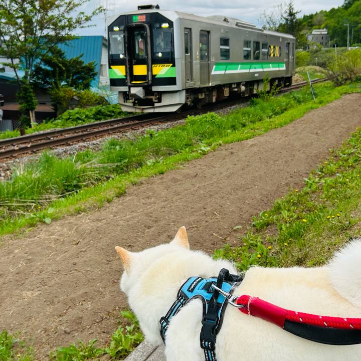 82f68469 266b 4eb0 b0f3 97cea9a75c31 1747518821543