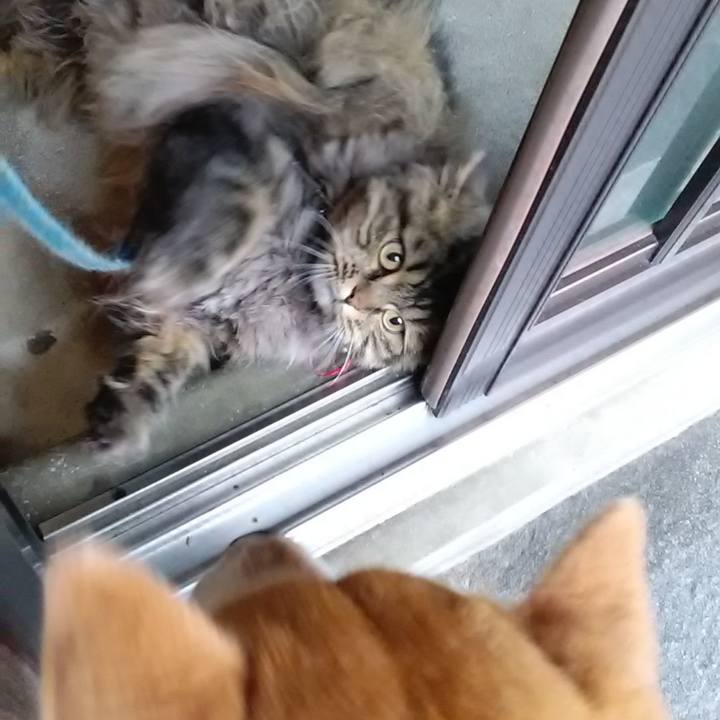 82f69355 e7cf 40b6 a0e9 9fc734986bc3 1621329248062