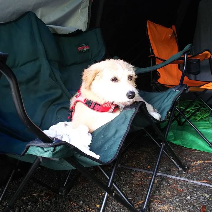 82f6b419 02b7 4386 a06a 77aa9b2b445b 1563777074215