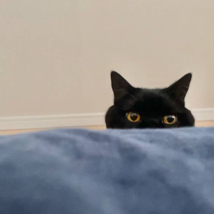 82f6e786 43de 4b16 a755 3044e0494473 1730590444661