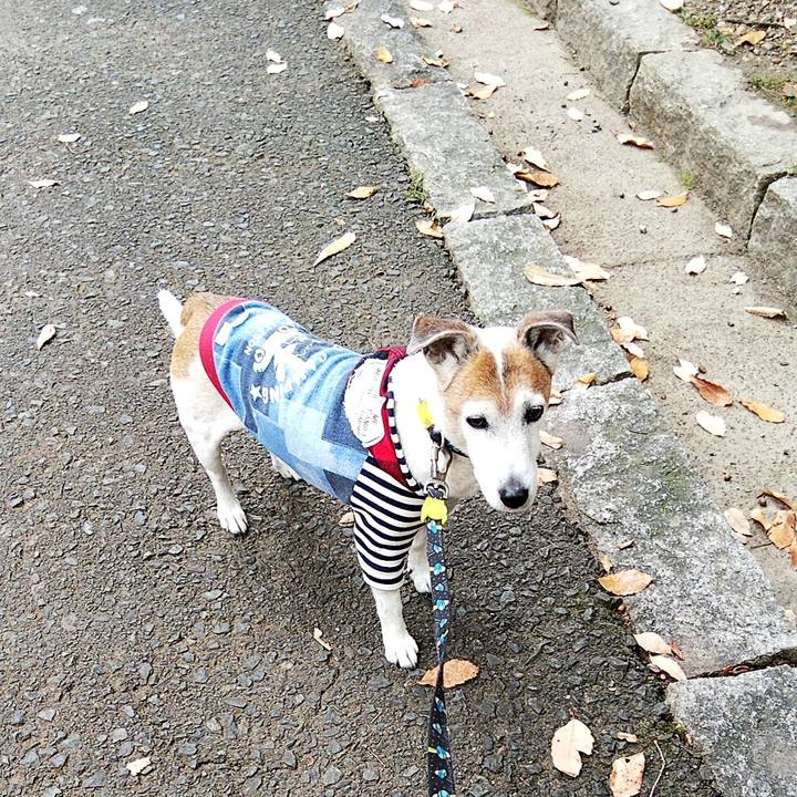 82f74b44 25aa 4cdc a302 040c479722c9 1576906662983