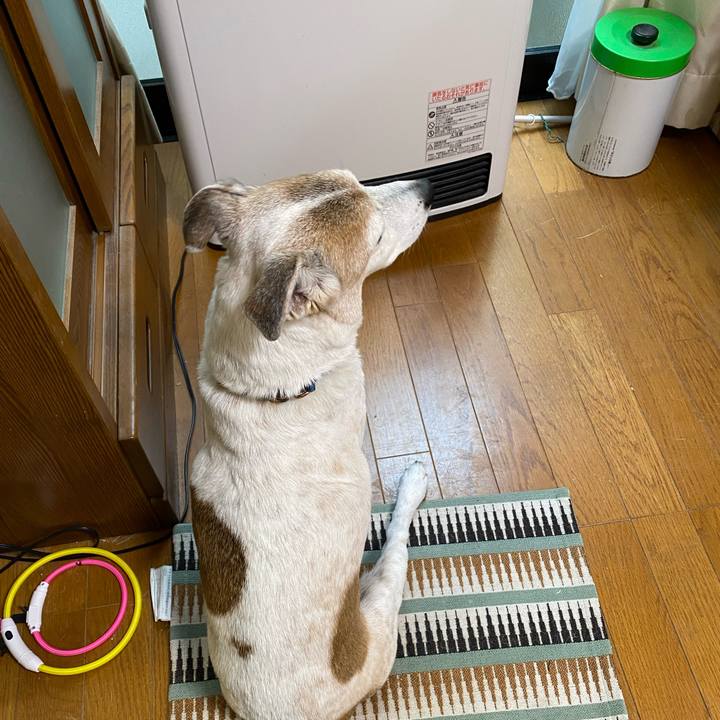 82f7615f dbf5 4c6b 8647 401fb05780dc 1642318655189